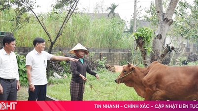 Kepemimpinan yang tegas dan rasa tanggung jawab dalam membantu kaum miskin.
