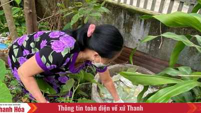 Nông dân tự sản xuất phân bón hữu cơ