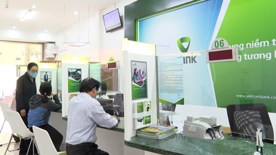 ធនាគារ Vietcombank ខេត្ត Quang Ngai គឺជាដៃគូយុទ្ធសាស្ត្ររបស់វិនិយោគិន។