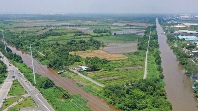 Ho Chi Minh Şehri, 880 hektarlık Uluslararası Üniversite Kentsel Alanı için planlama görevini onayladı.