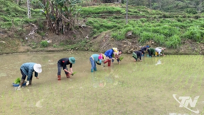 Efforts to eliminate outdated customs among the Hmong people.