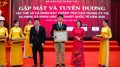 Hanoi: First male student from private school wins gold medal at the International Mathematical Olympiad.