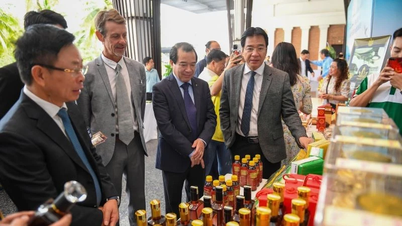 Sektor pariwisata mendorong pilar ekonomi provinsi Khanh Hoa.