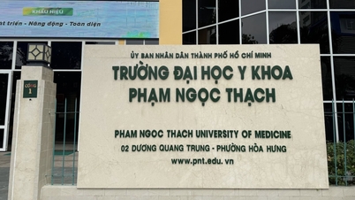 Revisión de las admisiones de doctorado en la Universidad de Medicina Pham Ngoc Thach, cohorte que incluyó a Au Nhat Huy.