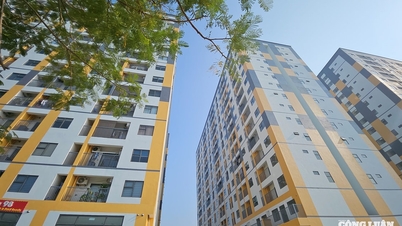 Hai Phong: Tujuh gedung perumahan sosial dengan hampir 2.000 unit apartemen diresmikan.