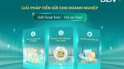BIDV៖ ដំណោះស្រាយបីយ៉ាង ដើម្បីជំរុញប្រសិទ្ធភាពលំហូរសាច់ប្រាក់នៅក្នុងសេដ្ឋកិច្ច។