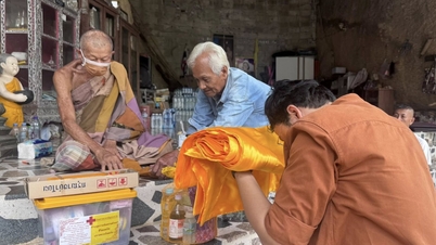 What's special about a New Year's pilgrimage tour?
