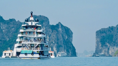 Ha Long Cruise Ship Association ser frem til den nye turistsesongen.