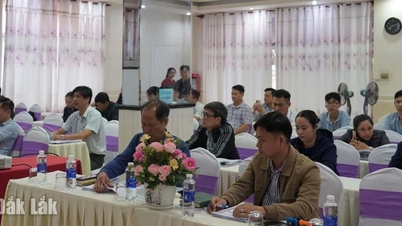 Training and dissemination of the 2023 Water Resources Law.