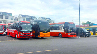 Phục vụ vận chuyển hành khách an toàn trong dịp tết