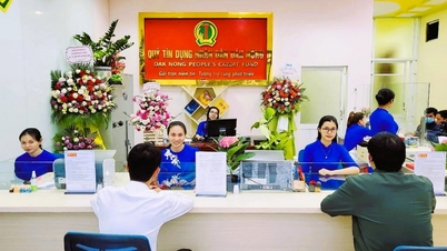 មូលនិធិឥណទានរបស់ប្រជាជនក្នុងដំណើរការផ្លាស់ប្តូរឌីជីថល។