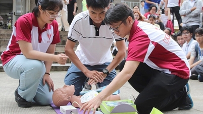 Kapan pelatihan medis Vietnam akan diakui secara internasional? - Bagian Akhir: Memastikan dokter Vietnam tidak dirugikan.
