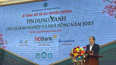 Kredit hijau: Pengungkit untuk transformasi pertanian.