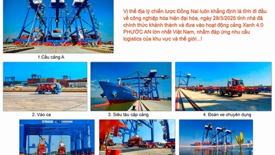 ពានរង្វាន់អក្សរសាស្ត្រ និងសិល្បៈខេត្តដុងណៃប្រចាំឆ្នាំត្រូវបានគ្រោងនឹងប្រគល់ជូននៅចុងខែធ្នូ ឆ្នាំ២០២៥។