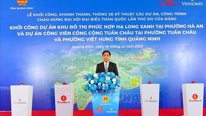 Quang Ninh: Large-scale projects simultaneously commence construction and are inaugurated.