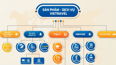 Vietravel : Une nouvelle stratégie, soutenue par la technologie, pour dynamiser le tourisme vietnamien.