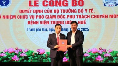 ក្រសួងសុខាភិបាលតែងតាំងអនុប្រធានមួយរូបទទួលបន្ទុកកិច្ចការវិជ្ជាជីវៈនៅមន្ទីរពេទ្យកណ្តាលទីក្រុងហ៊ូ។