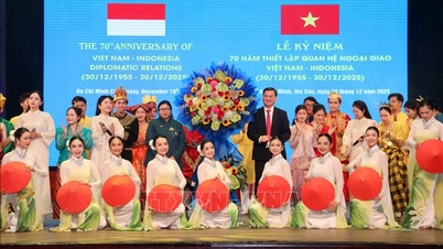 Pozitivní most pro podporu přátelských vztahů a spolupráce mezi Vietnamem a Indonésií.