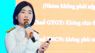 មានតែអាជីវកម្មគ្រួសារដែលមានប្រាក់ចំណូលប្រចាំឆ្នាំលើសពី ៥០០ លានដុងប៉ុណ្ណោះដែលត្រូវបង់ពន្ធ។