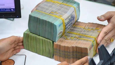 Novaland ingin meminjam hingga 10.000 miliar VND, dengan opsi untuk mengkonversi pinjaman tersebut menjadi saham.