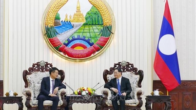 Vietnam a Laos posilují spolupráci v oblasti trestního stíhání.