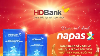 HDBank získává od NAPAS dvě ocenění za přední platební infrastrukturu.