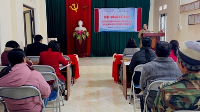 Ringkasan Projek "Membina model untuk penanaman intensif pokok berangan Trung Khanh menggunakan pokok cantuman di kawasan pergunungan utara" - Akhbar Dalam Talian Cao Bang