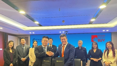 BUV collaborates with the China Academic Exchange Service Center.