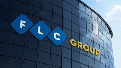 Eine Reihe von mit FLC verbundenen Unternehmen haben ihren Status als börsennotierte Unternehmen verloren.