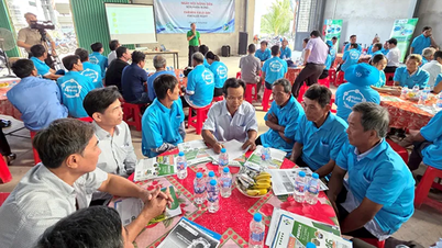 Cần Thơ tổ chức “Ngày hội nông dân bón phân đúng”