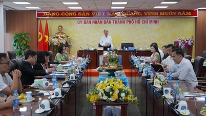 Ho Chi Minh-stad evalueert en categoriseert 45 OCOP-producten.