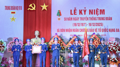 ৯১৬তম এয়ার রেজিমেন্ট তৃতীয়-শ্রেণীর জাতীয় প্রতিরক্ষার আদেশ পায়।