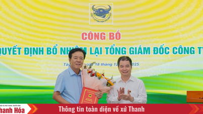 Der Verwaltungsrat der Binh Dien Fertilizer Joint Stock Company hat Generaldirektor Ngo Van Dong wiederernannt.