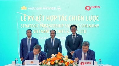 Vietnam Havayolları, uluslararası pazarlarda küresel iş birliğini güçlendiriyor ve hizmet kalitesini artırıyor.
