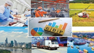 Ca Mau-provinsen har utfärdat en plan för att öka varuexporten under 2026.