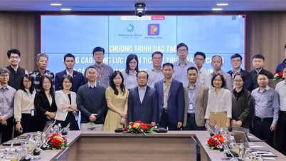 Petrolimex, in collaboration with GEAPP, organized a capacity-building training program on "Technical and Financial Analysis for Petrolimex's Renewable Energy Projects".