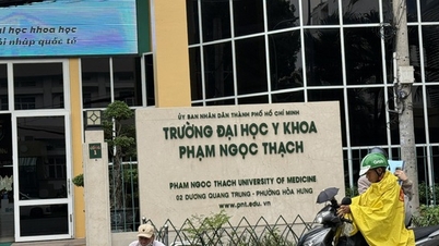 Ho Si Minh-város: A Pham Ngoc Thach Orvostudományi Egyetem doktori felvételi eljárásának áttekintése.