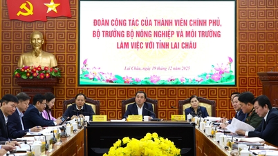 Đoàn công tác của thành viên Chính phủ, Bộ Trưởng Bộ Nông nghiệp và Môi trường làm việc với tỉnh Lai Châu