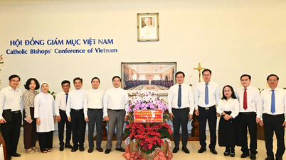 Lãnh đạo TPHCM thăm, chúc mừng Giáng sinh các tổ chức, cá nhân Công giáo tiêu biểu