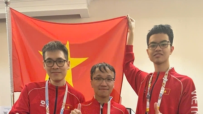 A vietnami sakkcsapat megszerezte a nap második aranyérmét.
