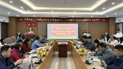 Melaksanakan tugas-tugas kerja promosi perindustrian untuk tempoh 2021 - 2025 - Akhbar Dalam Talian Cao Bang