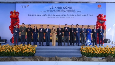 Společnost TH zahajuje výstavbu high-tech projektu pro chov a zpracování hospodářských zvířat v Quang Ninh.