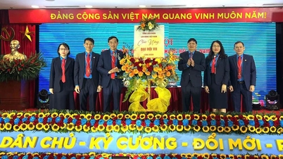 Công đoàn Tổng Công ty Hàng hải Việt Nam phấn đấu phát triển mới ít nhất 3.000 đoàn viên