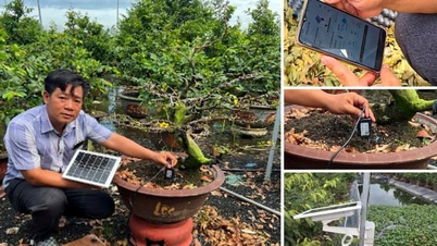 Farmář 4.0: Využití zelené energie a technologií internetu věcí k péči o meruňkové zahrady.