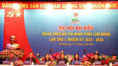 ผู้แทน 350 คนเข้าร่วมการประชุมใหญ่ครั้งแรกของสหภาพเยาวชนคอมมิวนิสต์โฮจิมินห์แห่งจังหวัดลัมดง