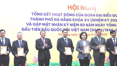 El vicepresidente de la Asamblea Nacional, Nguyen Duc Hai, asistió a la conferencia de clausura de la delegación de la Asamblea Nacional de la ciudad de Da Nang.
