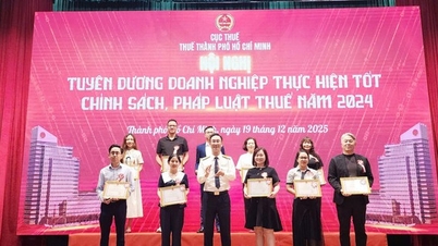 អាជីវកម្មឆ្នើមចំនួន ២៦២ ត្រូវបានផ្តល់កិត្តិយសដោយនាយកដ្ឋានពន្ធដារទីក្រុងហូជីមិញ។