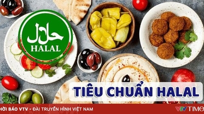 Đưa hàng Việt vào Trung Đông năm 2026: Doanh nghiệp cần chuẩn bị gì?