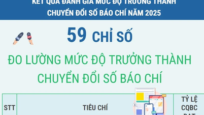 59 mutató a digitális transzformáció érettségi szintjének mérésére az újságírásban 2025-ig