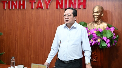 Focus on resolving difficulties and obstacles in projects in Tan Tap commune.